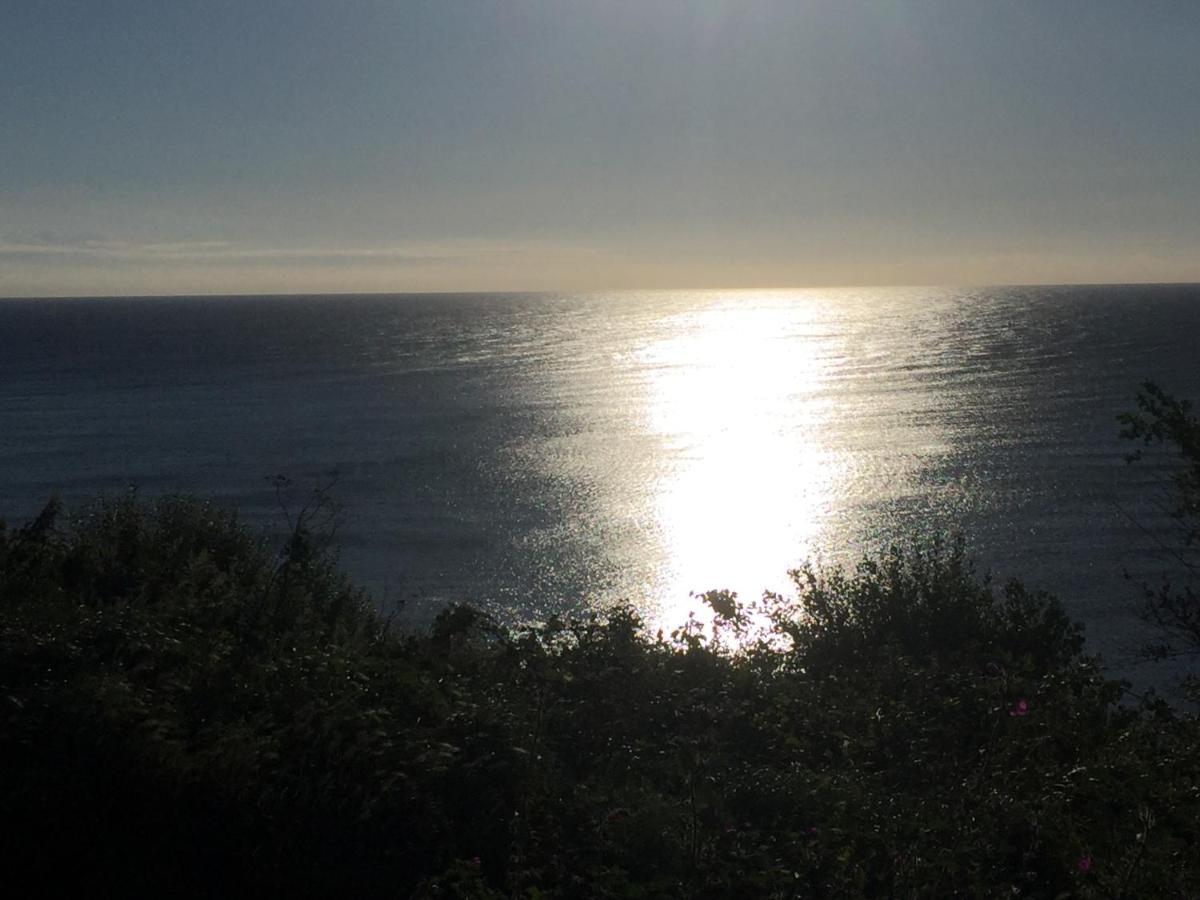 Fernleigh Panzió Robin Hood's Bay Kültér fotó